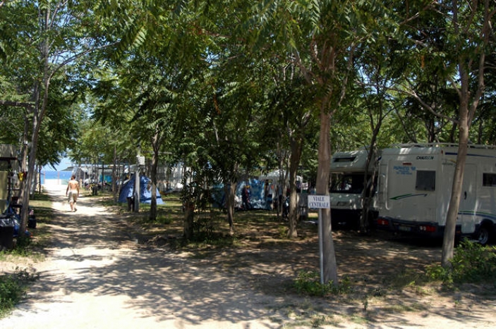 Camping Marina del Convento- Viale alberato