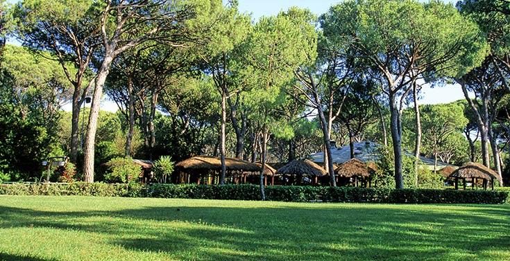 Marina di Grosseto - Cieloverde Camping Village