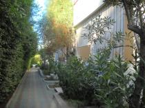 Sellia Marina - Villaggio La Fenice - Viale Interno