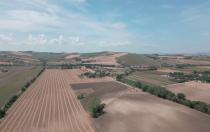 intorno