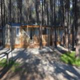  Onda Azzurra Camping Village